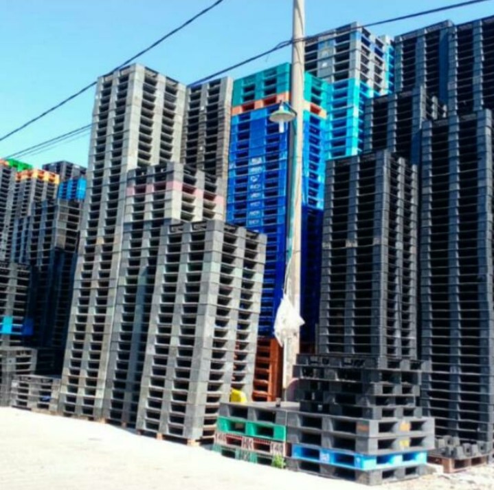 Pallet plastik banten
