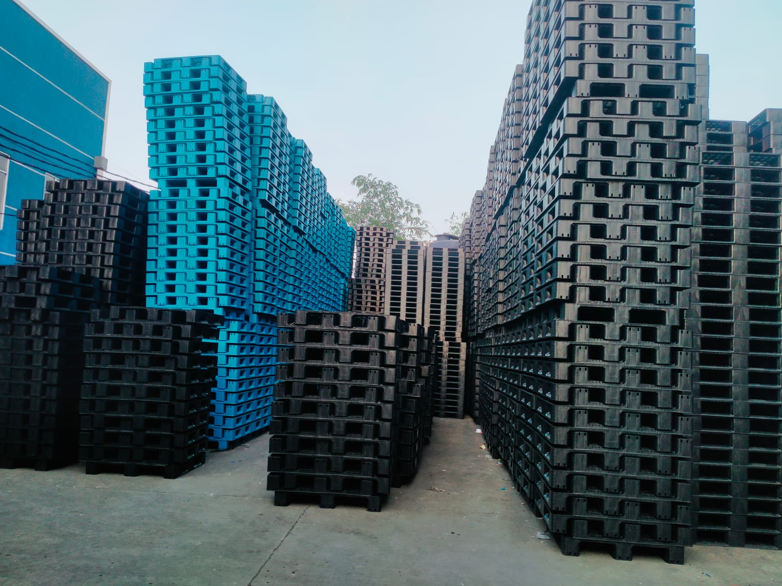 Distributor Pallet Plastik Cilegon PT Menjemput Berkah Semesta | Supplier Pallet Plastik Berkualitas untuk Cilegon, Kota Tangerang & Seluruh Indonesia